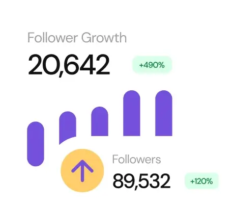 Example of bar chart, displays follower growth over time